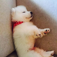 B59c8744b88b3957911935340ee94a6e8ac7a13c