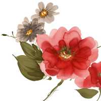 001fa14472cce9bdac314a394ad9f98fd3f02c84