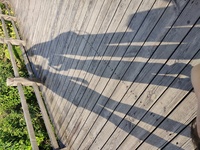 1a49534bfa29f0f222d8cacb4eac45679f3b4fb6