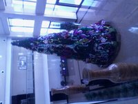 54ae3fe230b92aa6cda15aaef9239793925d146b