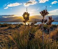 F55c29648256307ad7954d81e6c67f3e6e3c1d23