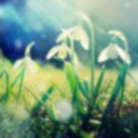 Fc396580adb6a2b9b085475e9e1a36fc1998b301