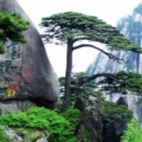 3ad7a415c4b52c40d318a4da3997d2d2b13518d3