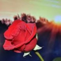 477025598cbca9c695778f7b4c2da59e140f5bda