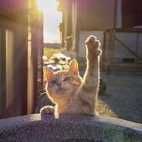 C56fb0701a42a19ecc570b619468f7bcf46d3958