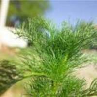 78eab29d9e9c16a393390c61556f1646474dd292