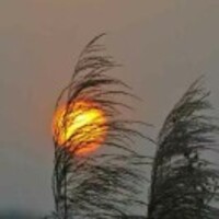 6558d56b4c817ce18f6d50ff95653a0b6fe40bcb