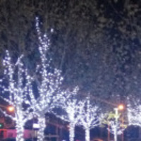 66e328fff93d2456676bcf5eb9f58b92025fddb9