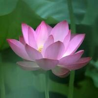 5a197e8136c32733745ce8a5fc48ae006ce74509