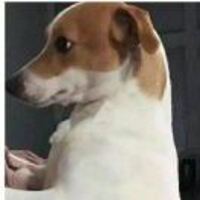 B31a835684ecd50bafa566c4effc0d32f5cf0938