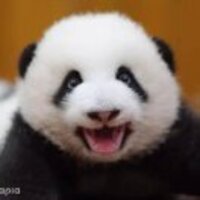 1f931253796f008fe871ae20341fb11335525cd2