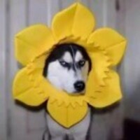 E34cd16afbdbdb7b2199877e8dcdec3f0022567b