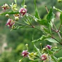 8d75964c6031ec096d3d88d4b62fb3a5cd14b459