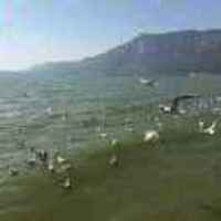 9ebeb08631eaab26570eb2c82affd02feb3c89bf