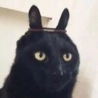 Dd032781cfbbbdd5ad814b1460392b23d43f1e55