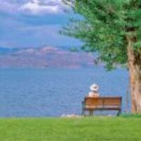 D212da172ad6fc3a06902a7263d3a7af89385aad