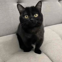 884f971d595225a20150c15ce5e59df25f92592c