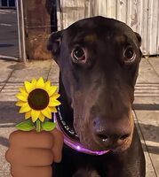 19bbc98136791aa73ebcf3f9846ec0062e4e986f