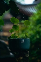 9077f7872d5058796030d352d3c8c3283c3ef916