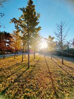 71bfc2b81c6cec42d32f0cc88d37a5ad3873b363