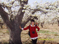 4b763014092105918dcc8d736ae5f5b1660f5d94