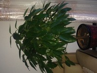 895fab53ff0d70e195788963b362ff08147de5cd