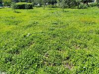 4af639e28aedd5822e2e354031f504fd1a73eb60