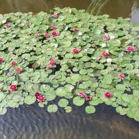 863e11f40943b1993dcc133a951153b9f6145fe5