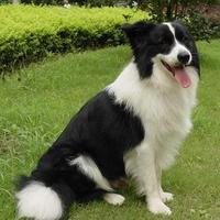 F718ee56fc4376f4c3f54665a3c78852164f5f17