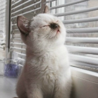 1bfae8a90eb1ab9f24f9f0cce52c8ed4024cc8cd