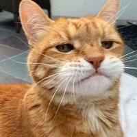 3e6b1a7b7e16c20ff40890d38bac5ae6b926d3db