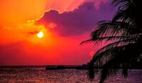 285f4c6a2cb71668aeebd7cd02353da0743338a3