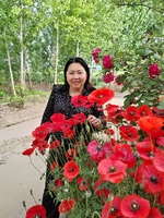 045b3ac113b42606827a656840b0344ecb19f622