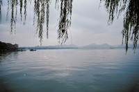 E203c5fdfc71613e25306e647617cb79f6766e28