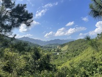 52ed0c190c9054a80d308d9fc4bccaadd3dd7e64