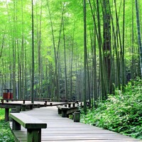 91672a2f4e59acc4be2074ae6811d927097ea012