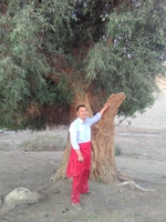 6993085a4f89c935ea4a64c8c3fba11ebb2e6566