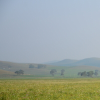 C53942ff85f13c89ee2dea99a774111835bd03cf