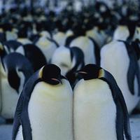 Aa081bd55d4f293697dc0c5cc61be6602f5f99e1