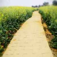 652b97257a1790a9e9917c599cb5c1095b07da42