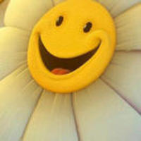 32b352554b4ebd43c452ce1159ef411360374a47