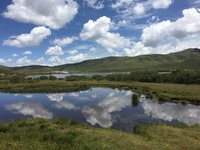 4990ae6a3da619409d3ee62e59cbbc3f117ec0c4