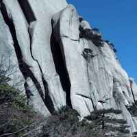 37f55eee64670f288a9affdd3bf30fc208f7f832