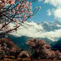 6628f50c021492f3d302ea69e1a289e261220010