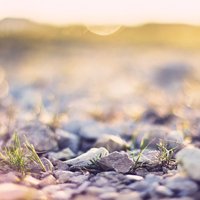 E5fcabcd2624a21534b698baa52ba1d4cb725b63