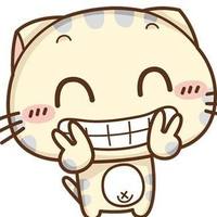 22934fd60d71776d56114c23dcbb6af0f5c2cfaf