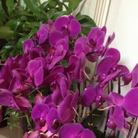 0226510e5579f982f74851f739adc1efc239cc4e