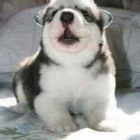 8b654b3468bc7517f1d697b6a82d82a451da859f