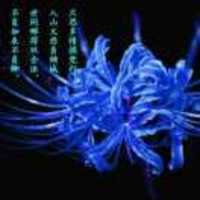 6b678756d73e8ca14aea9c1e12115b1556d82a93