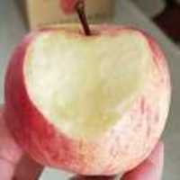 Bc368d469950f0f8c64a835a8f861a862ffeaff5